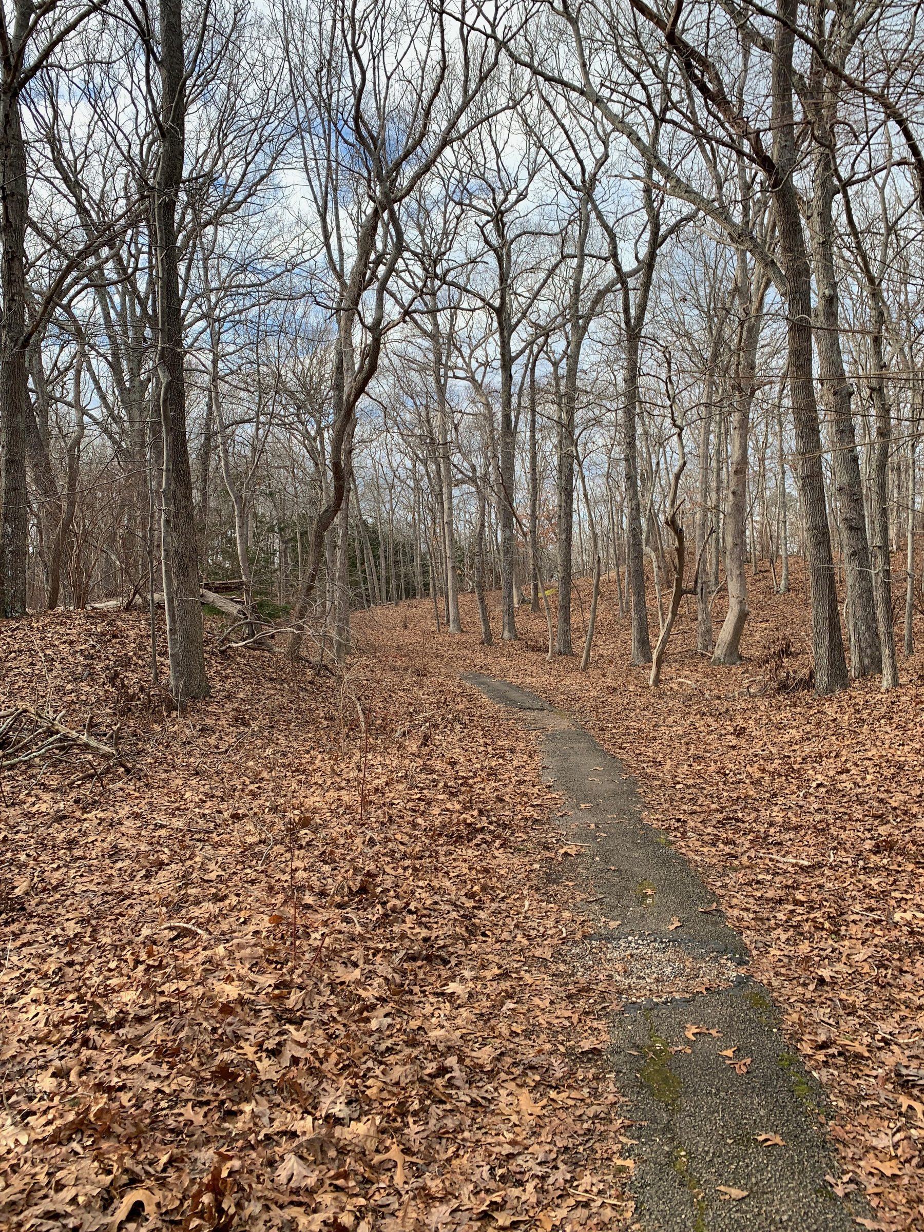 Nature Trails on the North Fork