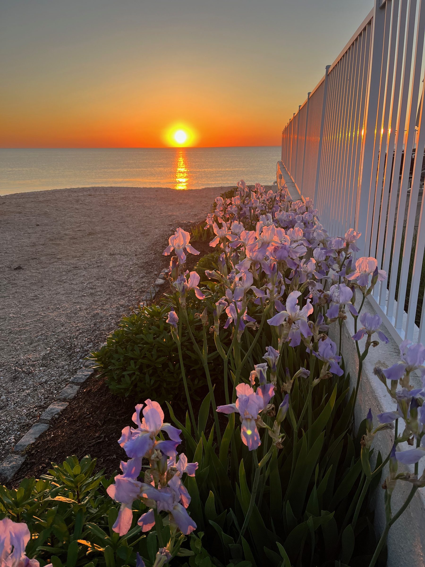 North Fork Instagram Accounts Worth Following