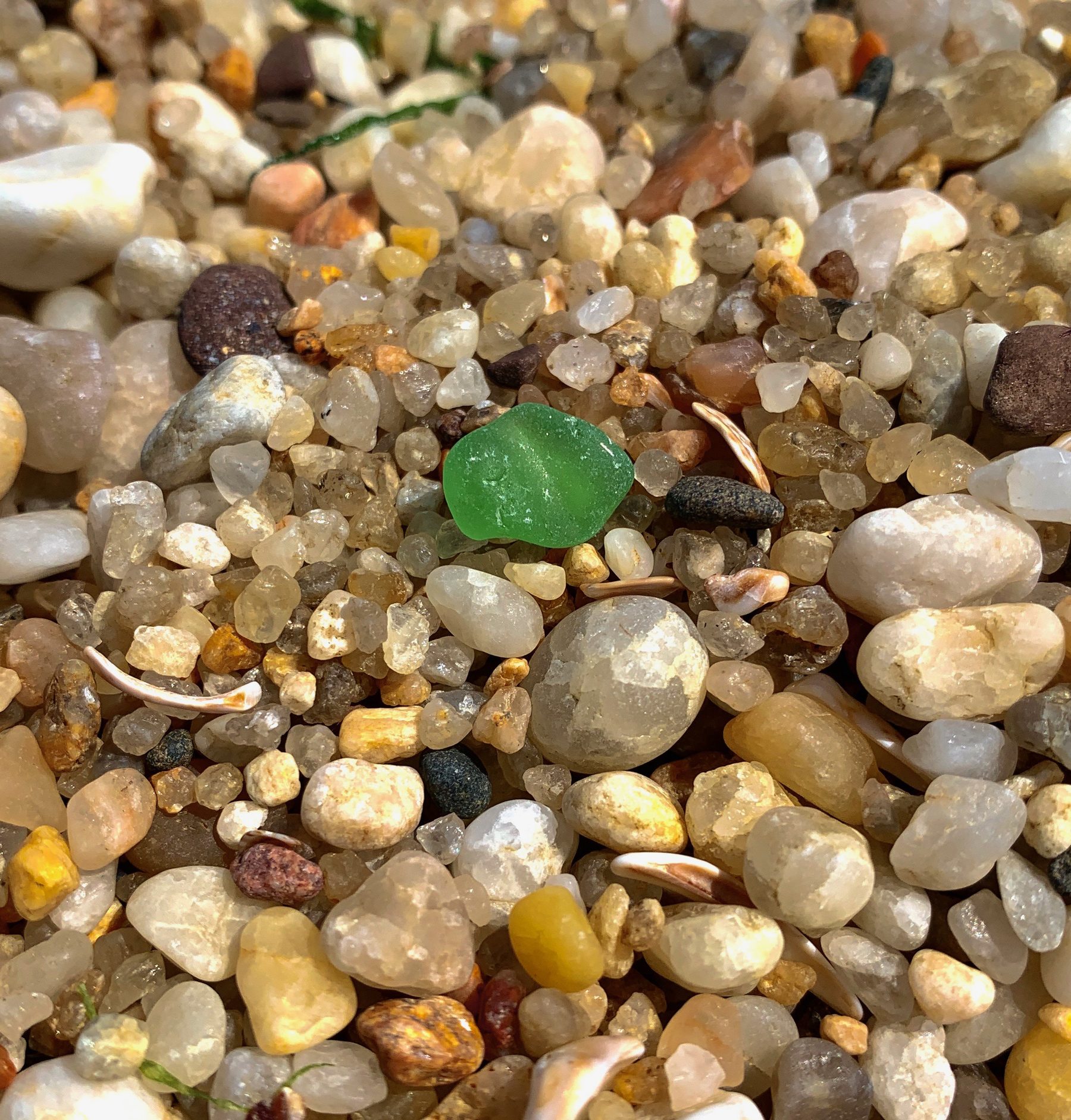Sea Glass on the North Fork